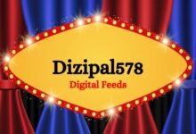 Dizipal578